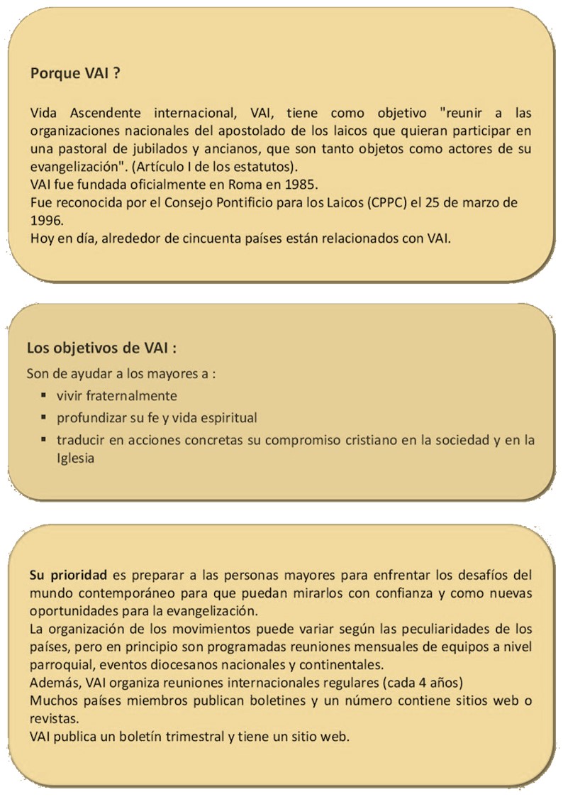 VMI ES